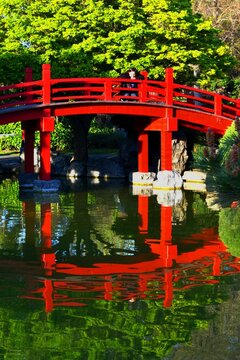 Japenese Garden bridge red tea garden water reflection