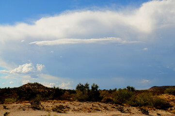 Sonora Desert Arizona