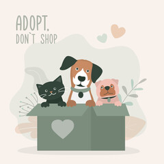 Adopt friend, don't shop - cute dogs and cat sitting in box. Banner or poster about pet adoptation. Animal care, adoption. Help homeless animals find home concept.