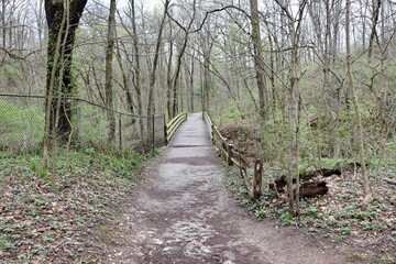 The empty wooden bridge in the forest.