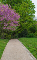 Allée dans le parc des Buttes Chaumont à Paris (France)