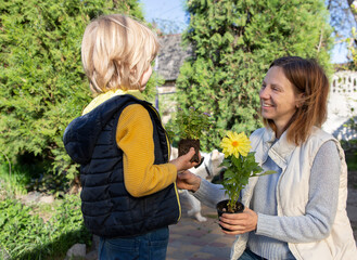 mom and son work together in garden.Transplanting plants to flowerbeds on spring day. Earth Day. Gardening with love. Good time spent together. environmental education. Floral gift for mother's day