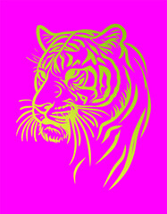 Colored vector  inked style tiger wall art
