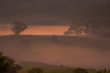 Foggy morning in the Appalachian Mountains