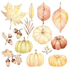 set of pumpkins and autumn leaves