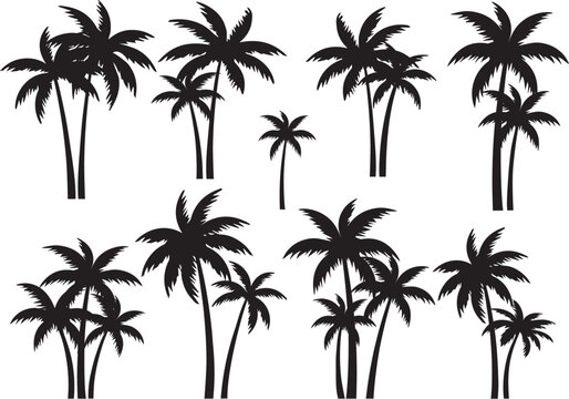 Black palm tree set vector illustration on white background silhouette art black white stock illustration
