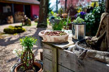 A clay heart is planted with succulents stands on a wooden pallet in the garden