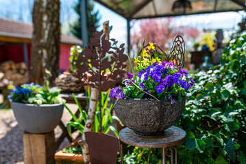 Flowers in a garden in summer