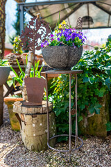 Flowers in pots in the garden in summer