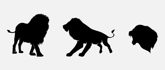 isolated black silhouette of a lion , vector collection