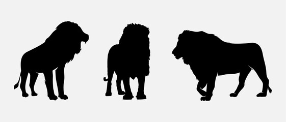 Naklejka premium isolated black silhouette of a lion , vector collection