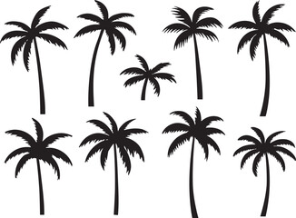 Black palms tree set vector illustration on white background silhouette