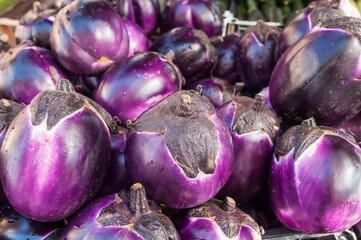 Fresh eggplant / Fresh eggplants at a market stall. - 597522656