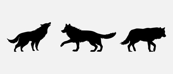 isolated black silhouette of a wolf , vector collection