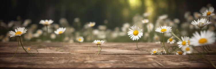 Summer field of daisy flowers during sunset. blurred background with empty wooden table with free space for product display and mockup, copy space, small depth of field, ai generated – human enhanced