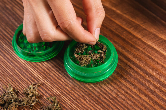 The hands of a person putting cannabis flowers into a grinder on a wooden table.