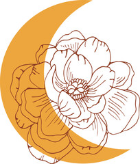 Moon and peony flower line art, boho illustration. Botanical vector illustration.