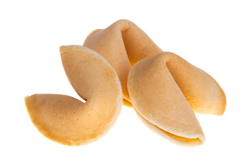 fortune cookie isolated
