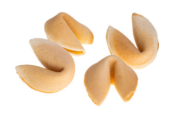 fortune cookie isolated