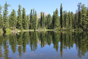 Fototapeta na wymiar Pond surrounded by cedar forest. Mountain lake Medvezhye in Ergaki nature park, Siberia, Krasnoyarsk region, Russia