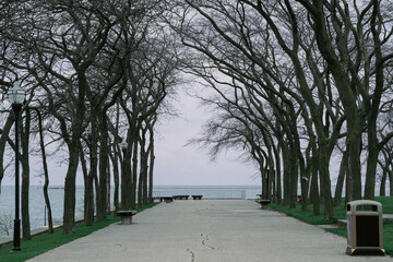 Parkway or avenue in public park in Chicago, Illinois with benches, trees, lanterns lakeshore of Lake Michigan on grey misty foggy stormy day in Springtime