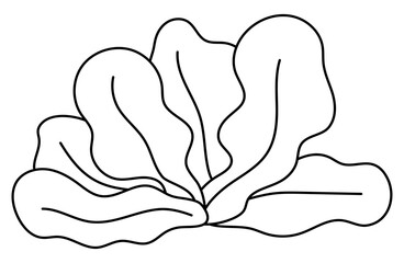 Vector black and white seaweeds icon. Under the sea line illustration with cute kelp. Ocean plant clipart. Cartoon underwater or marine clip art or coloring page for children.