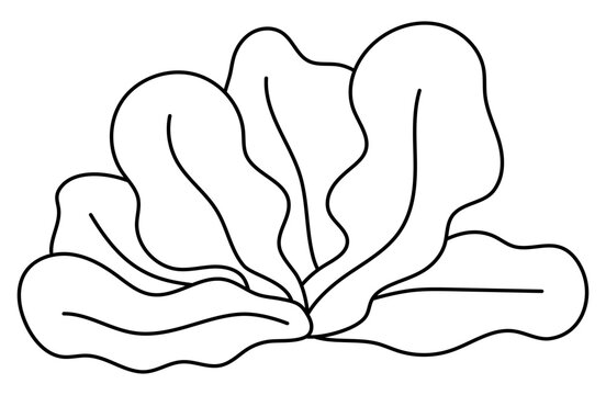 recommend clip art: Vector black and white seaweeds icon. Under the sea line illustration with cute kelp. Ocean plant clipart. Cartoon underwater or marine clip art or coloring page for children.