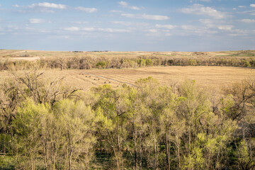 Fototapeta premium springtime landscape of farmland in central Nebraska at sunset