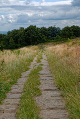 Fototapeta na wymiar The Old Stone footpath crossing The Chevin above the market Town of Otley on a cloudy Summers day in July.