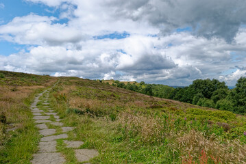 The curving footpath made of quarried Flagstones curving up the ridge of The Chevin across the Grassland above the Market Town of Otley.