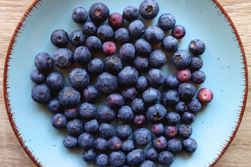 Turquoise plate with fresh blueberries on wooden background. Top view.