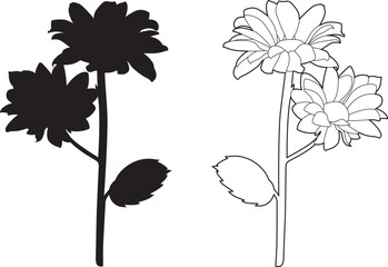 Drawing of two flowers