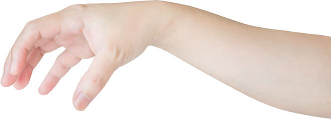 Woman hand gesture holding something isolated on white background