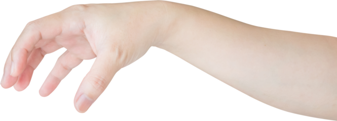 Woman hand gesture holding something isolated on white background