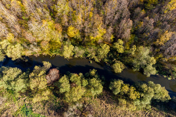 Autumn forest on the bank of a small river, aerial view