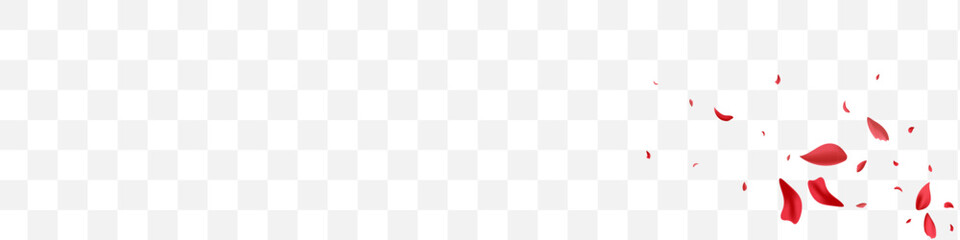 Pink Peach Spring Vector Transparent Panoramic