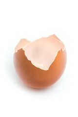 Egg Shell