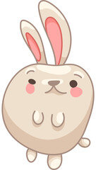 Cute Bunny Character