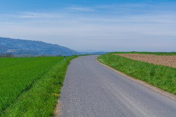 Fototapeta na wymiar Empty road on a sunny summer day