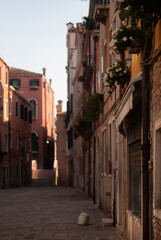 View on flowerpots with flowers on buildings in old town