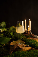 French 75 coctail on black background decorated with forest green moss and candles.