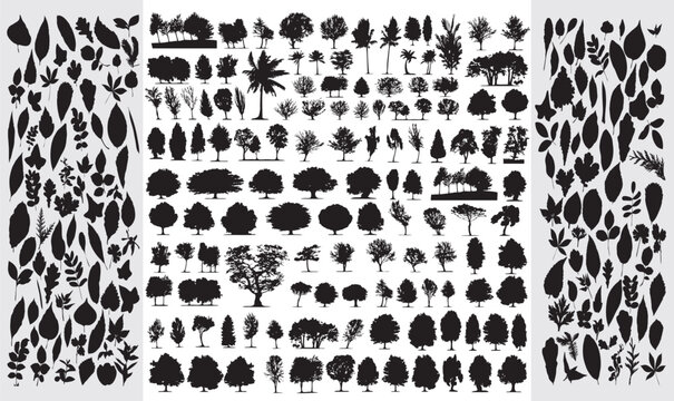 set of tree silhouettes collection