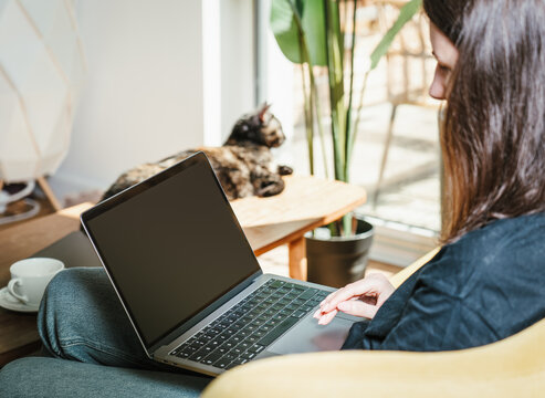 ork on the sofa - laptop screen