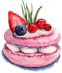 Macaroon, cake. Berry dessert. Watercolor illustration.