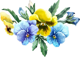 Pansy flower. Spring bouquet. Flower composition. Hand drawn watercolor illustration.