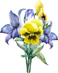 Spring bouquet. Flowers bluebell, pansies. Flower composition. Watercolor illustration.