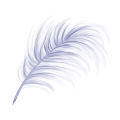 Elegant fluffy bluish feather of a swan, goose. Decorative element for theatrical costumes, carnival outfits, hats, bouquets of flowers and souvenirs. Digital illustration on a white background