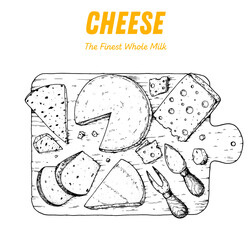 Hand drawn sketch of cheese on wooden board. Dairy farm products cheese. Engraved style