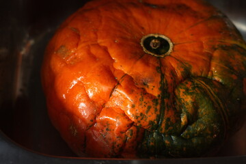 A large orange pumpkin with signs of rotting lies in the kitchen area