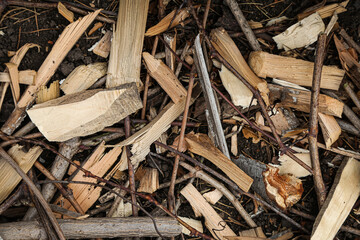 Texture of wood shavings, wooden background, top view. background for photo